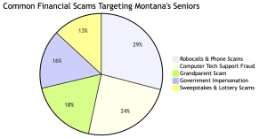 Senior financial scams pie chart
