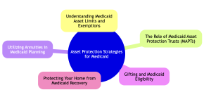 Asset Protection Strategies for Medicaid