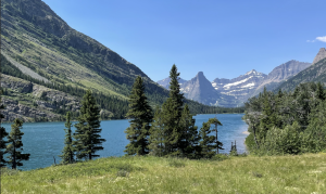 Montana Taxes for Retirees (A 2024 Tax Guide for Retirees) 